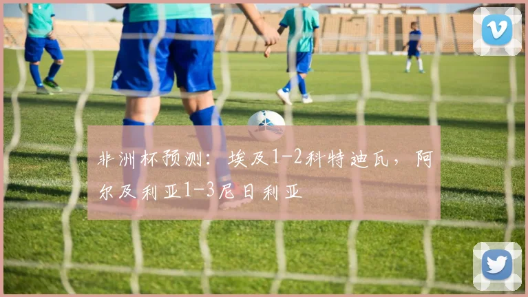 非洲杯预测：埃及1-2科特迪瓦，阿尔及利亚1-3尼日利亚