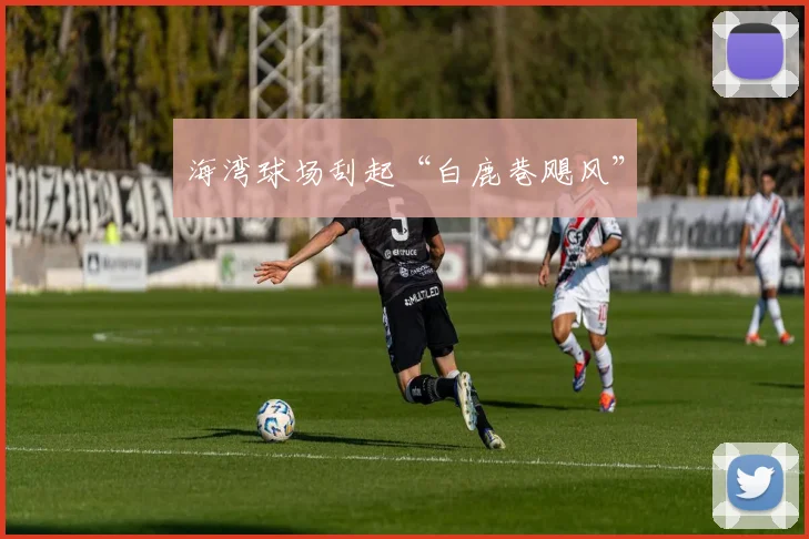 海湾球场刮起“白鹿巷飓风”
