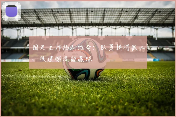 国足主帅扬科维奇：队员拼得很凶，很遗憾没能赢球
