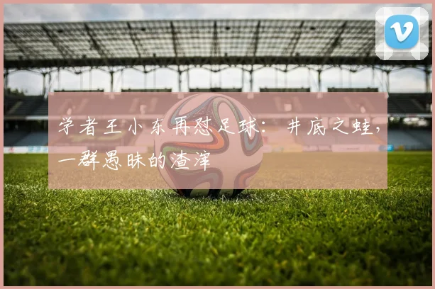 学者王小东再怼足球：井底之蛙，一群愚昧的渣滓