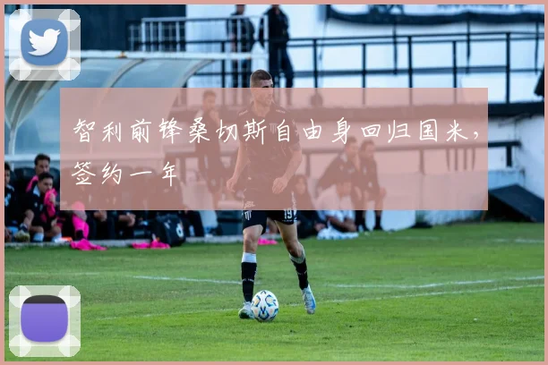 智利前锋桑切斯自由身回归国米，签约一年